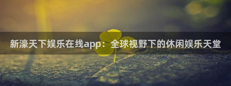 焦点娱乐app