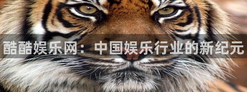 焦点娱乐娱乐