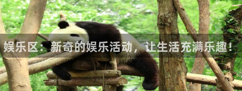 壹号下载安装