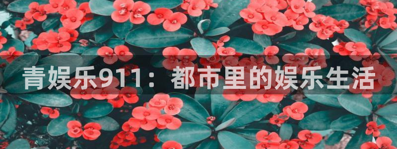 焦点娱乐游戏官网版