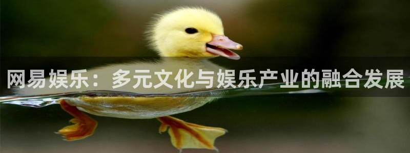 焦点娱乐平台官网入口下载