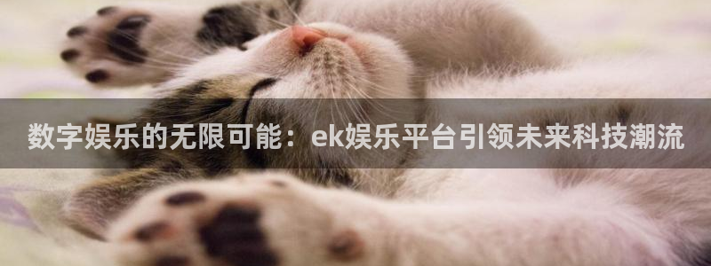 焦点娱乐平台官方入口