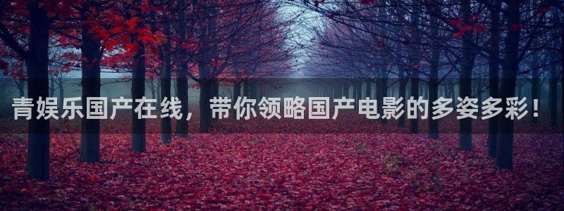 焦点娱乐ccmpc
